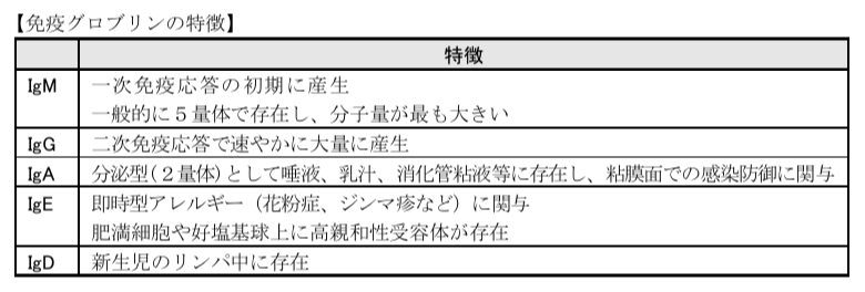 解説画像